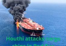 Houthi attacks on cargo ship in Red Sea may cause huge environmental disasters Houthi attack